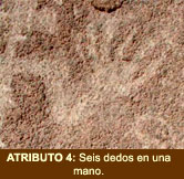 Atributo 4