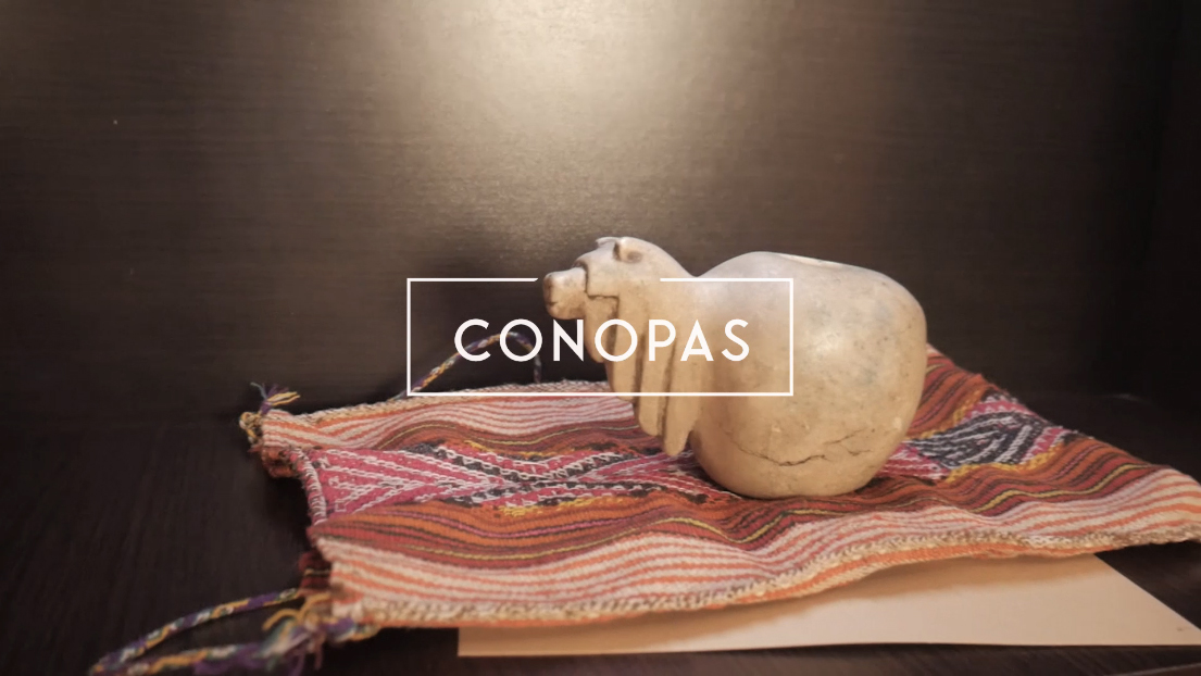 Conopas