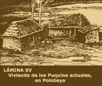 LÁMINA XV